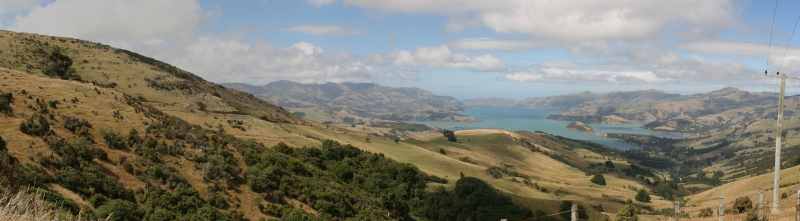 Nieuw-Zeeland 2011 - 2130